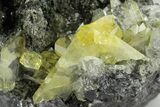 Glassy Yellow Anglesite Crystals on Galena - Morocco #251479-1